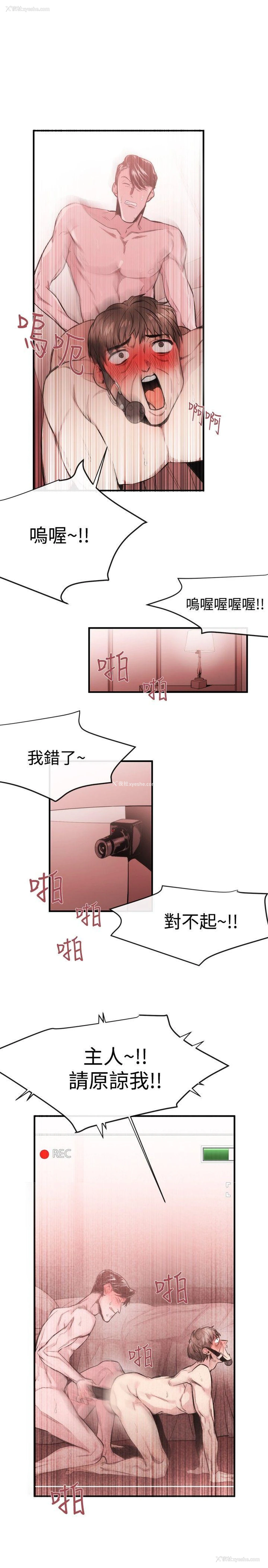 19P - 女助教