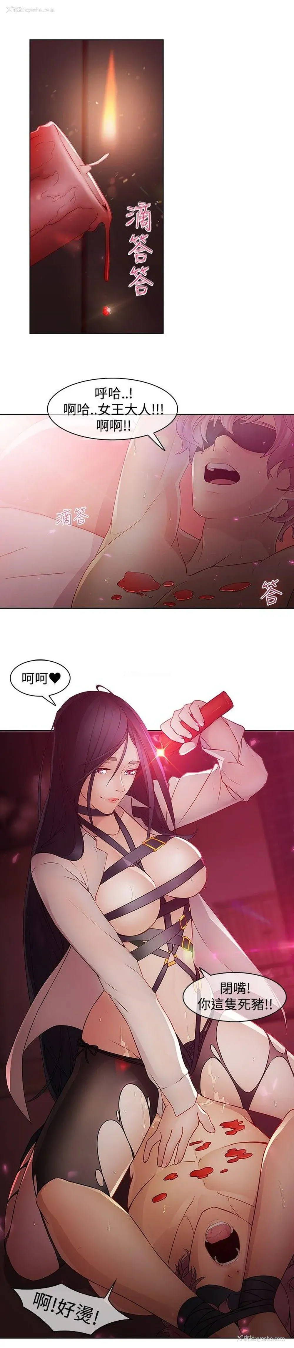 4P - 蝴蝶之梦