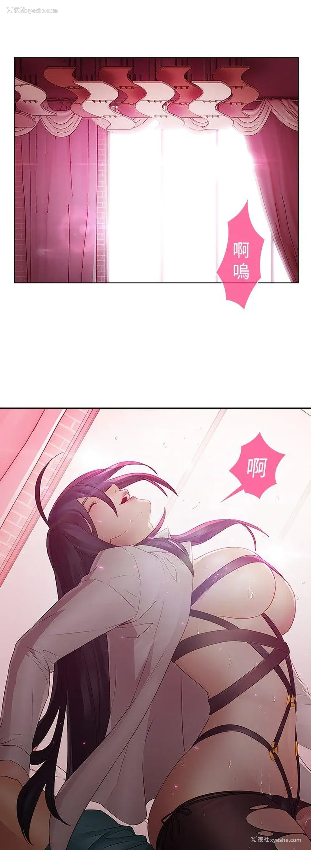 6P - 蝴蝶之梦