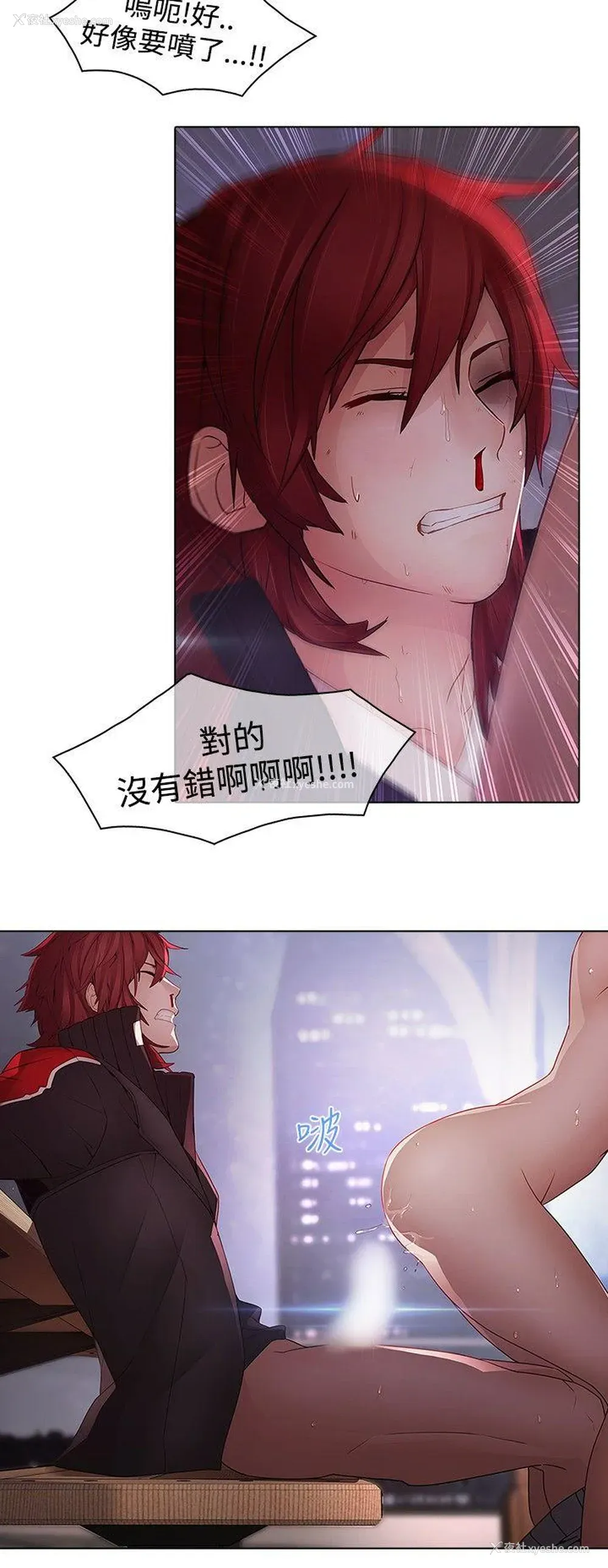 24P - 蝴蝶之梦