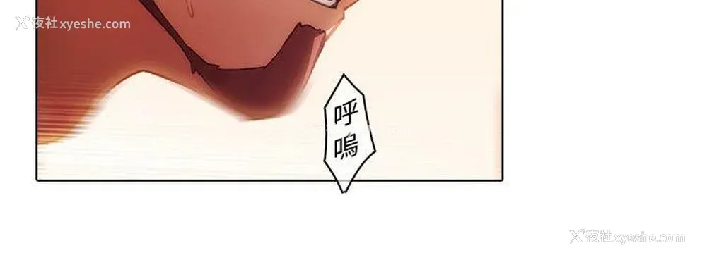 4P - 蝴蝶之梦