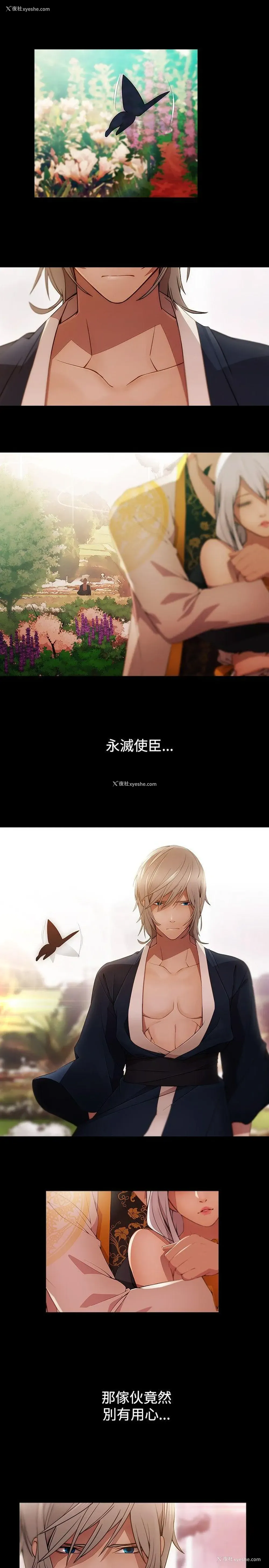 4P - 蝴蝶之梦