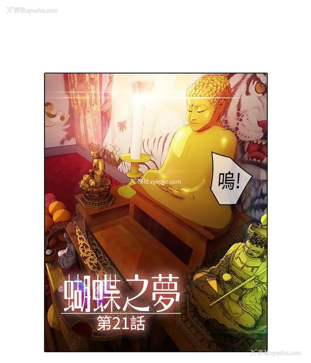 9P - 蝴蝶之梦
