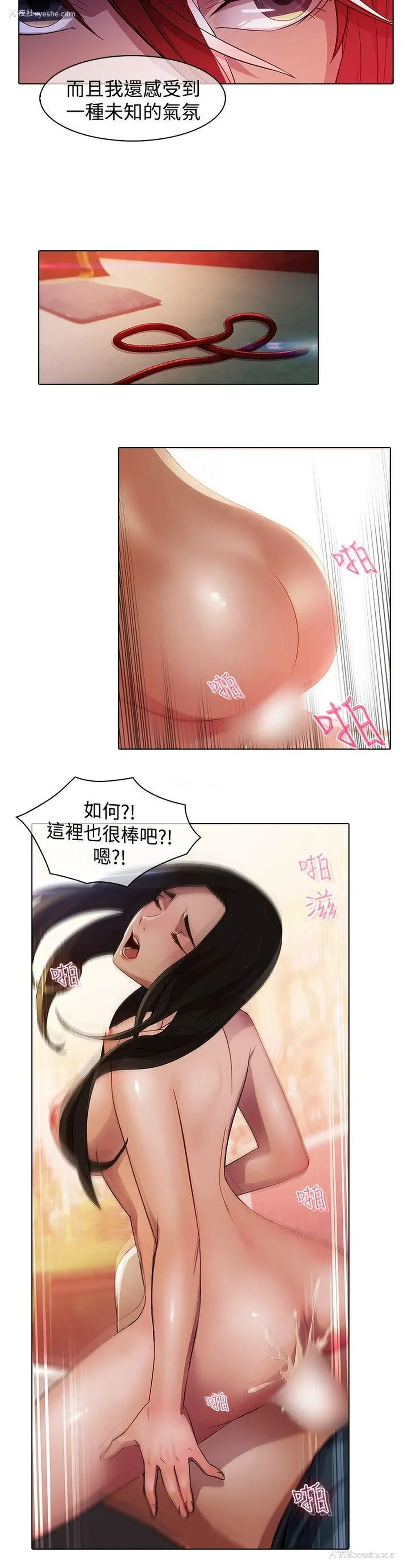 6P - 蝴蝶之梦