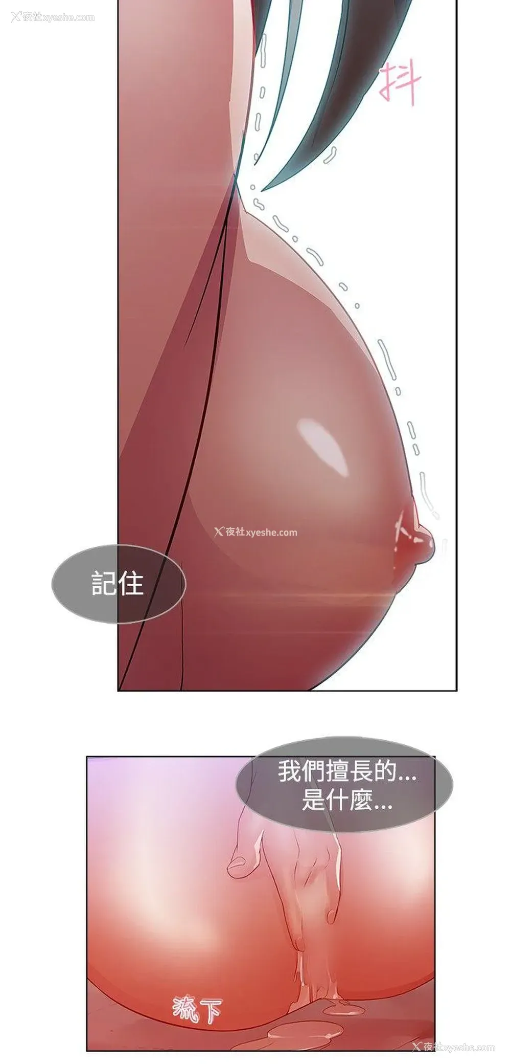 12P - 蝴蝶之梦