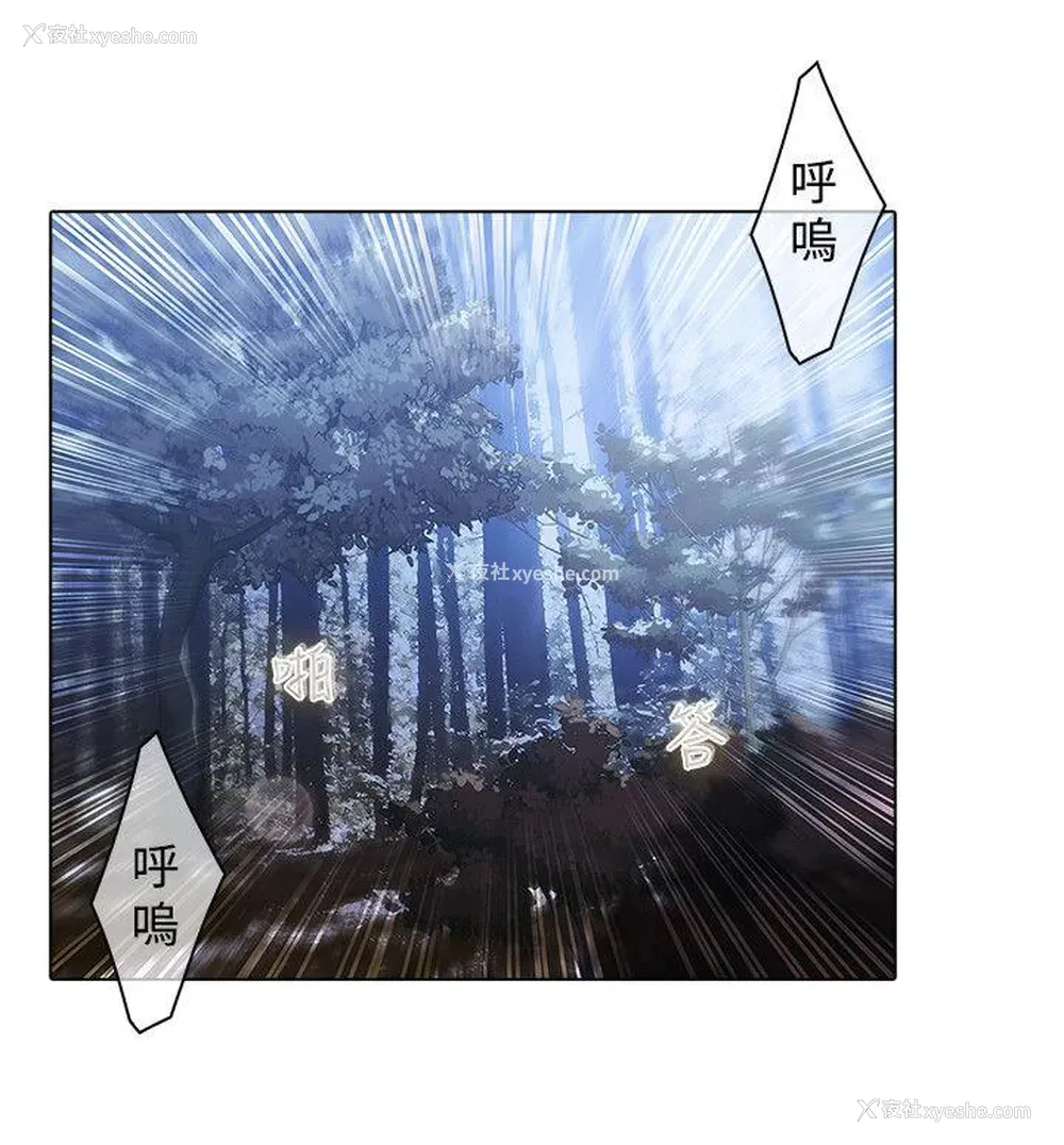 8P - 蝴蝶之梦