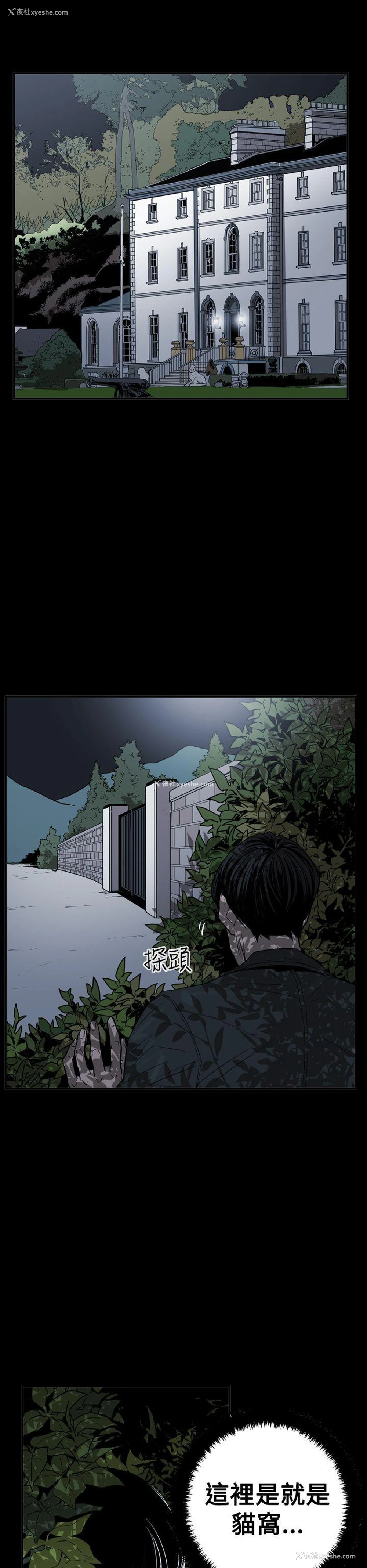 16P - ACE:禁断的诈欺之夜