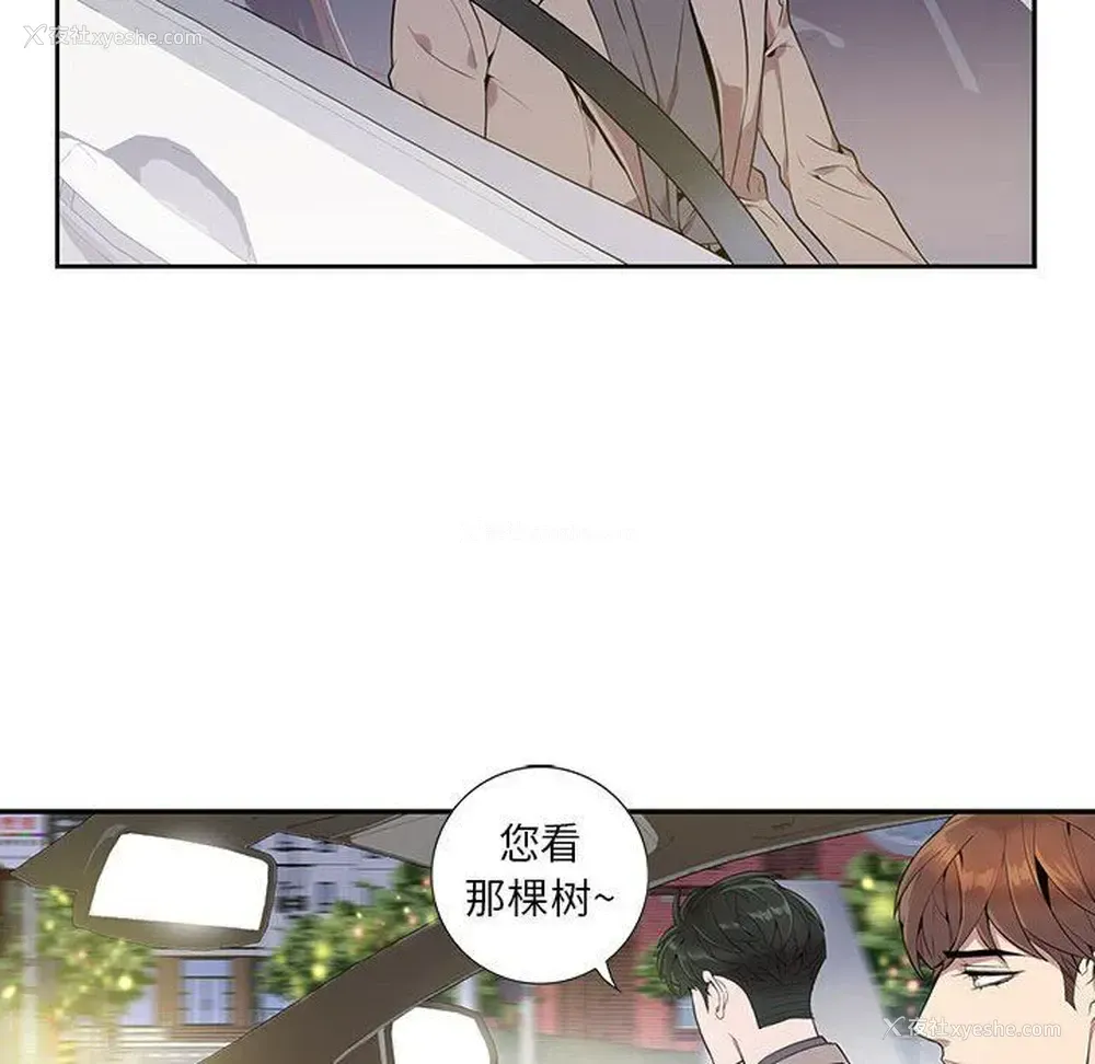 33P - 为何偏偏是你？