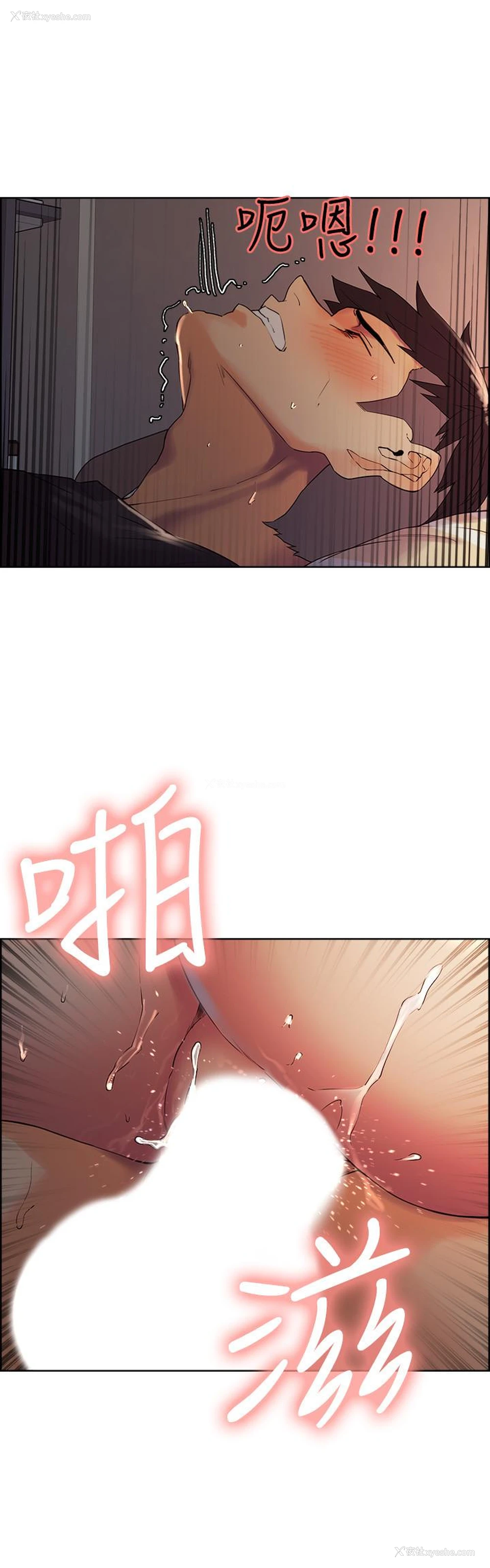 25P - 室友招募中
