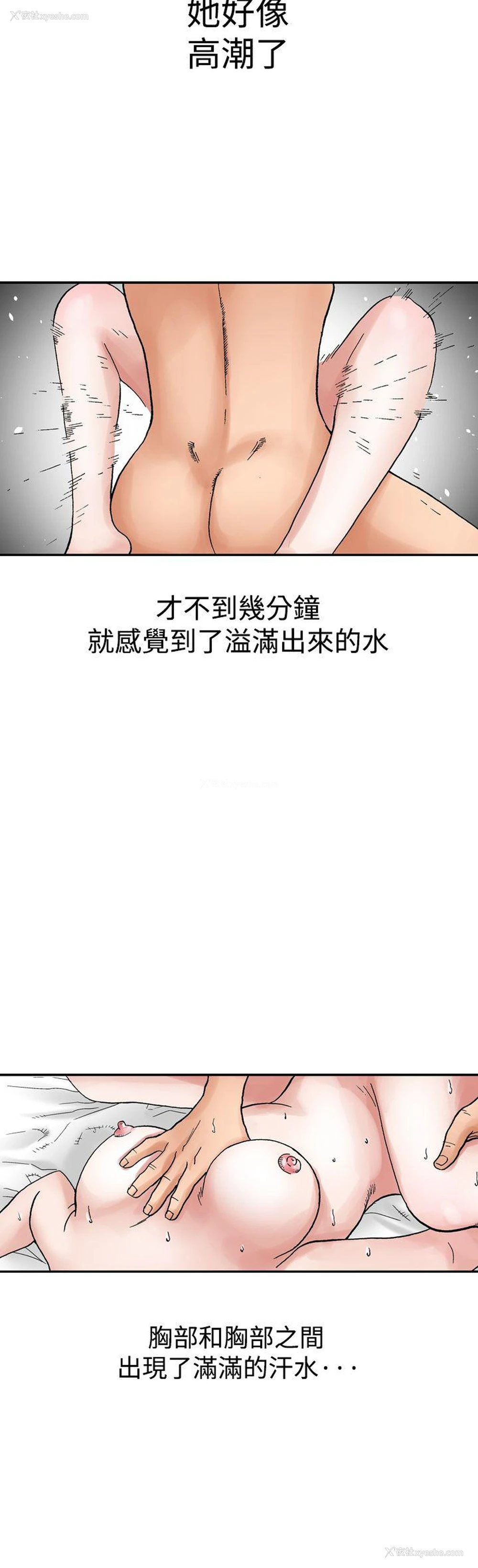 27P - 他的女人