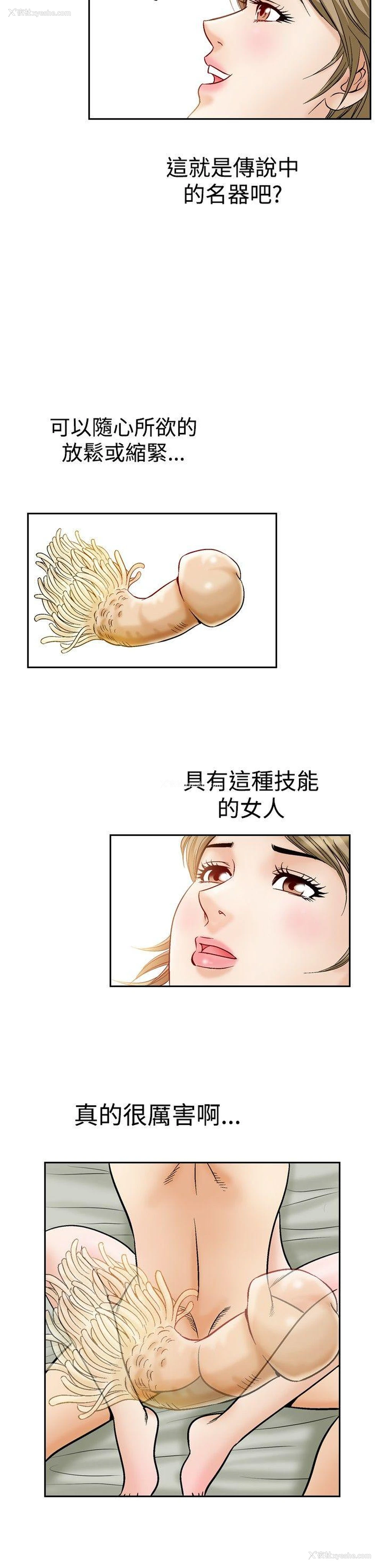 3P - 他的女人