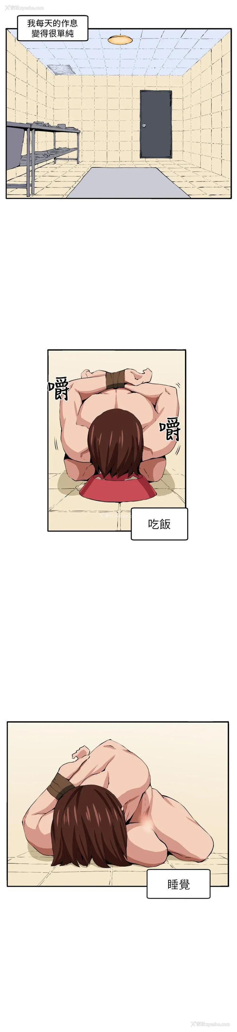 4P - 圈套