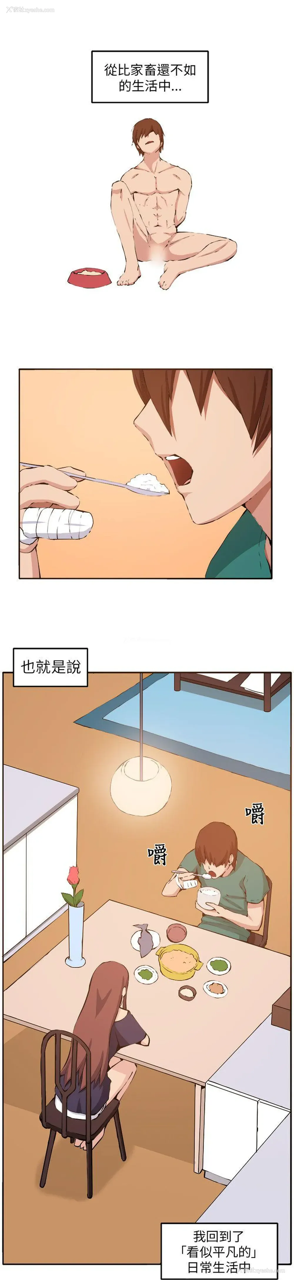 21P - 圈套