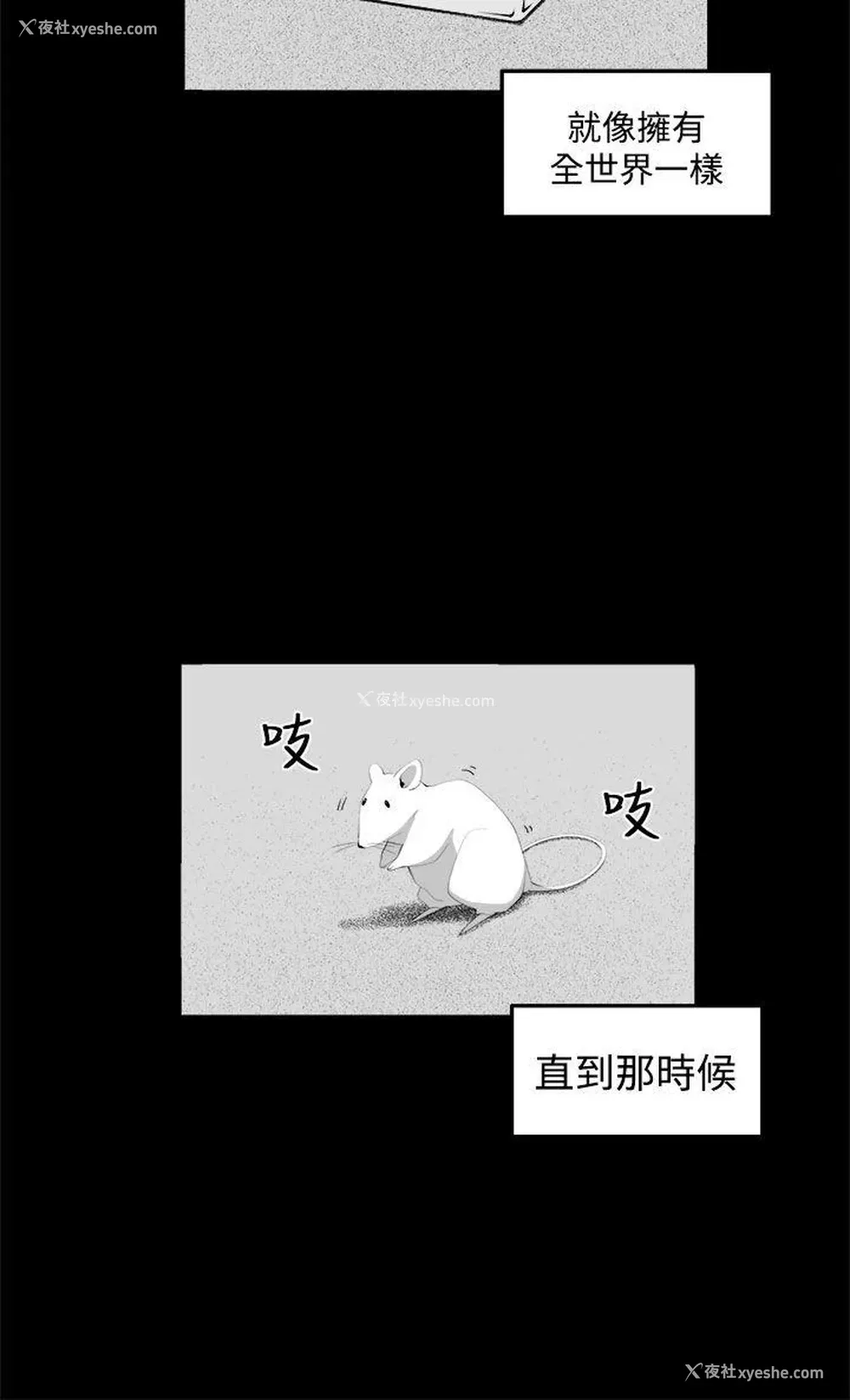 8P - 圈套