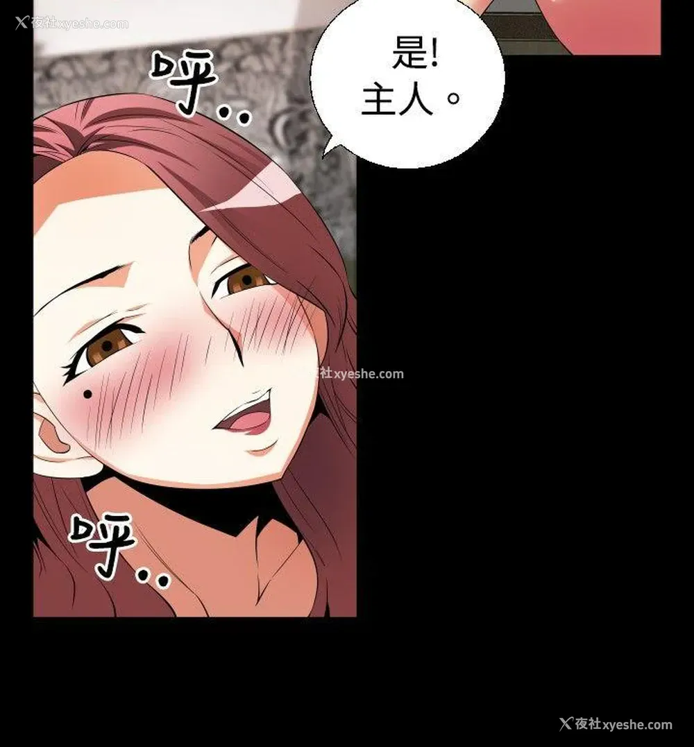 20P - 恋爱辅助器