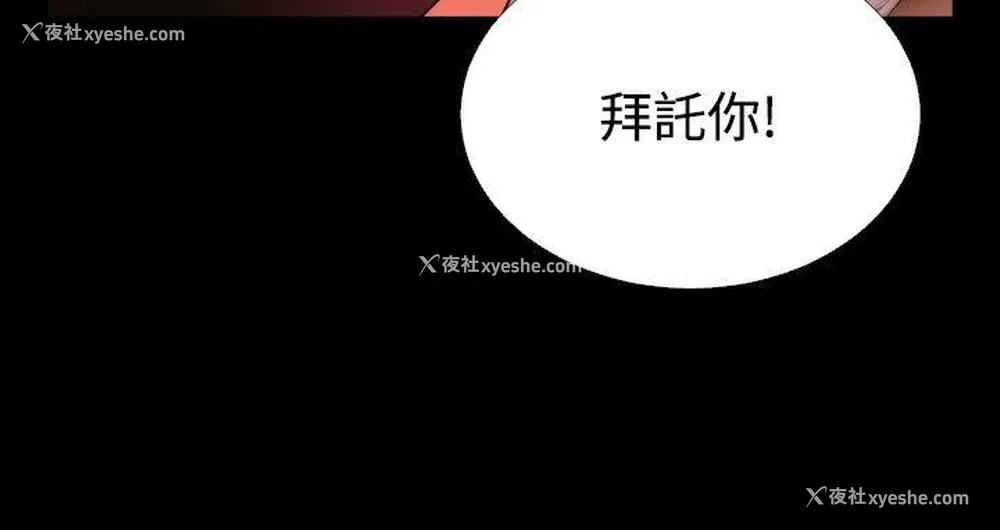 24P - 恋爱辅助器