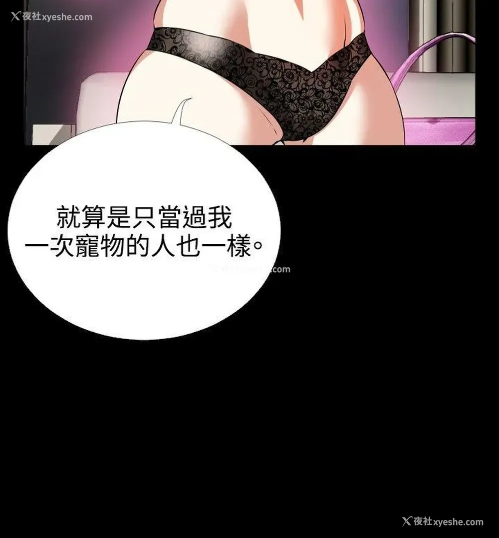 4P - 恋爱辅助器