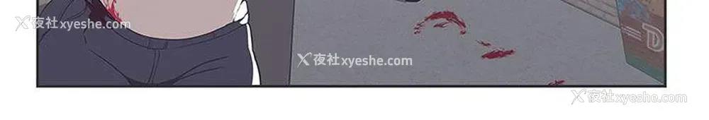 16P - LOVE 爱的导航G