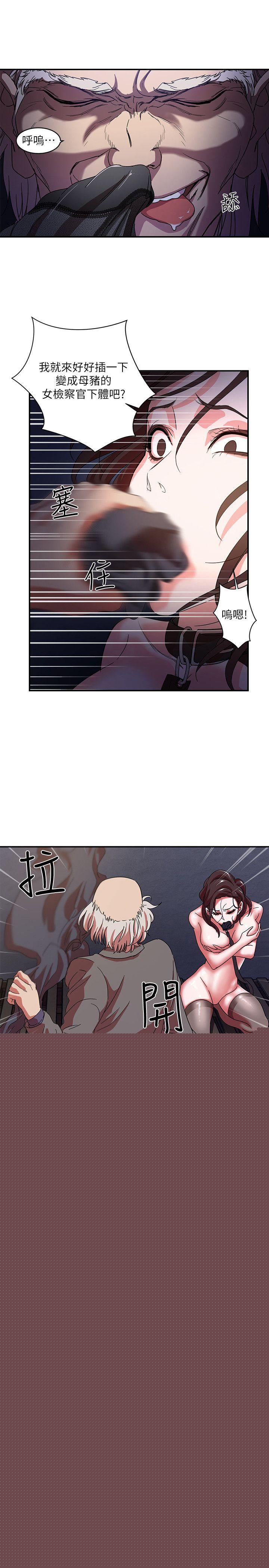 11P - 母猪养成计画