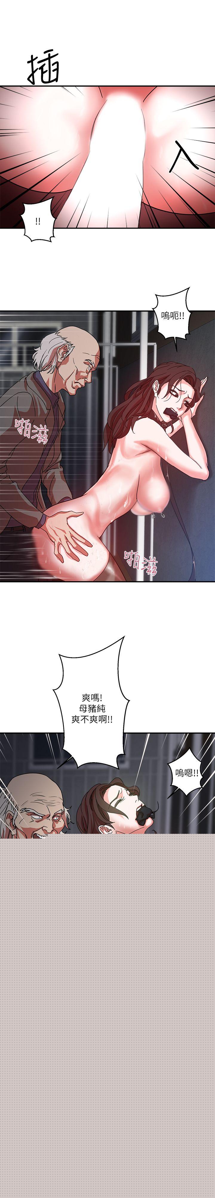 13P - 母猪养成计画