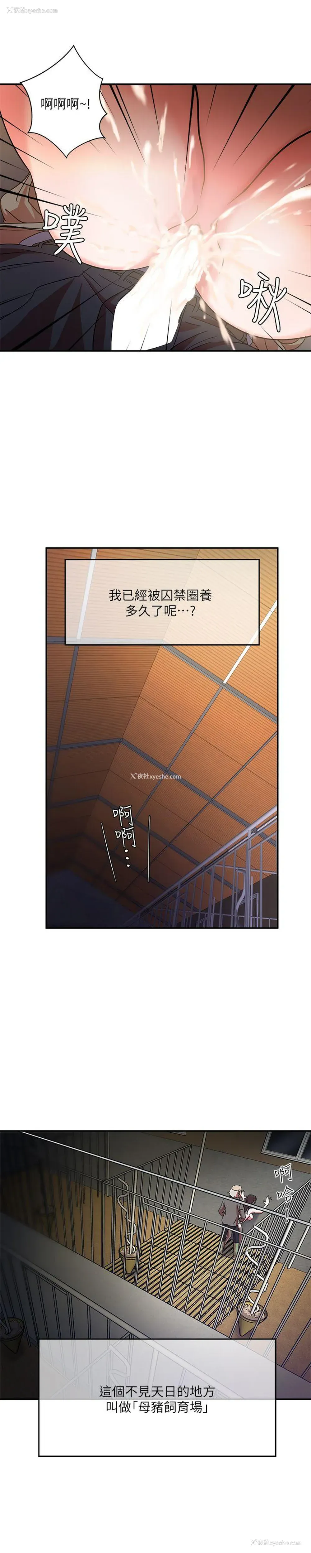 15P - 母猪养成计画