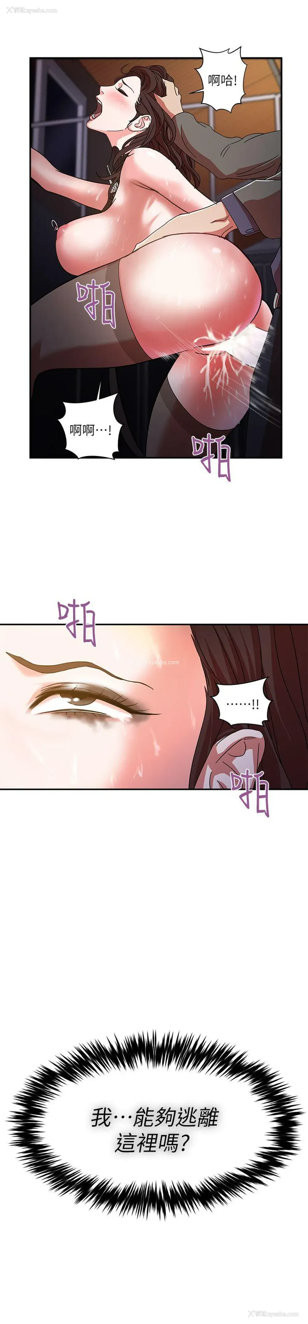 16P - 母猪养成计画