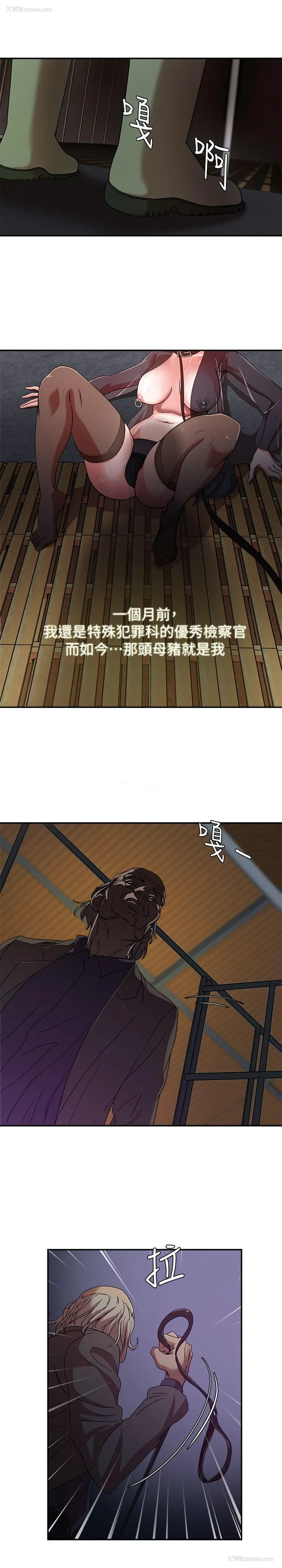 3P - 母猪养成计画