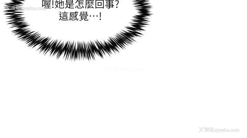 11P - 母猪养成计画
