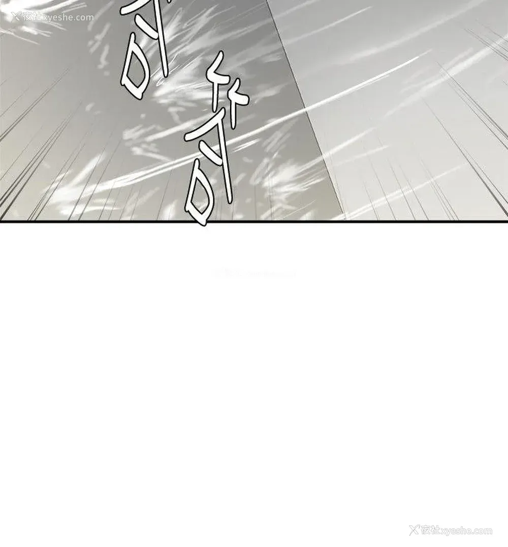 36P - 母猪养成计画
