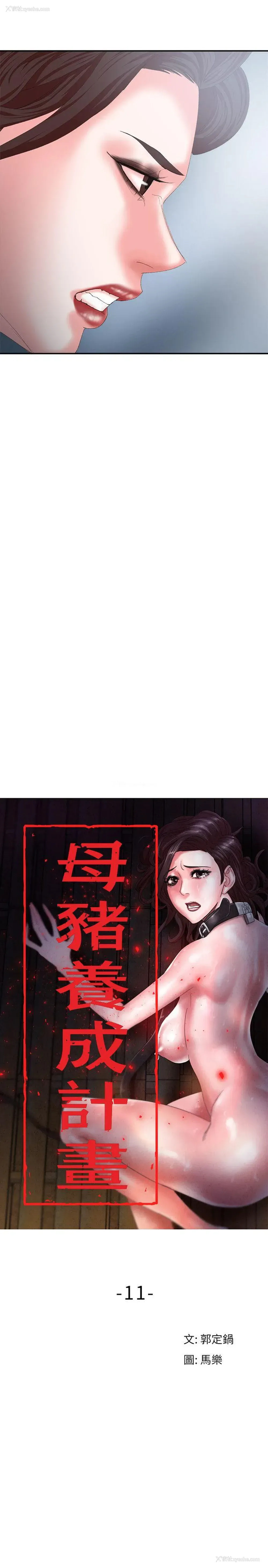 11P - 母猪养成计画