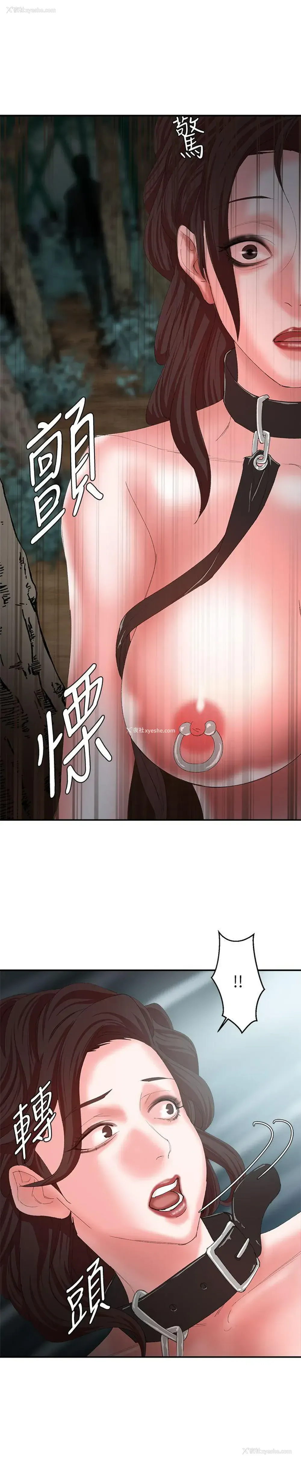 22P - 母猪养成计画