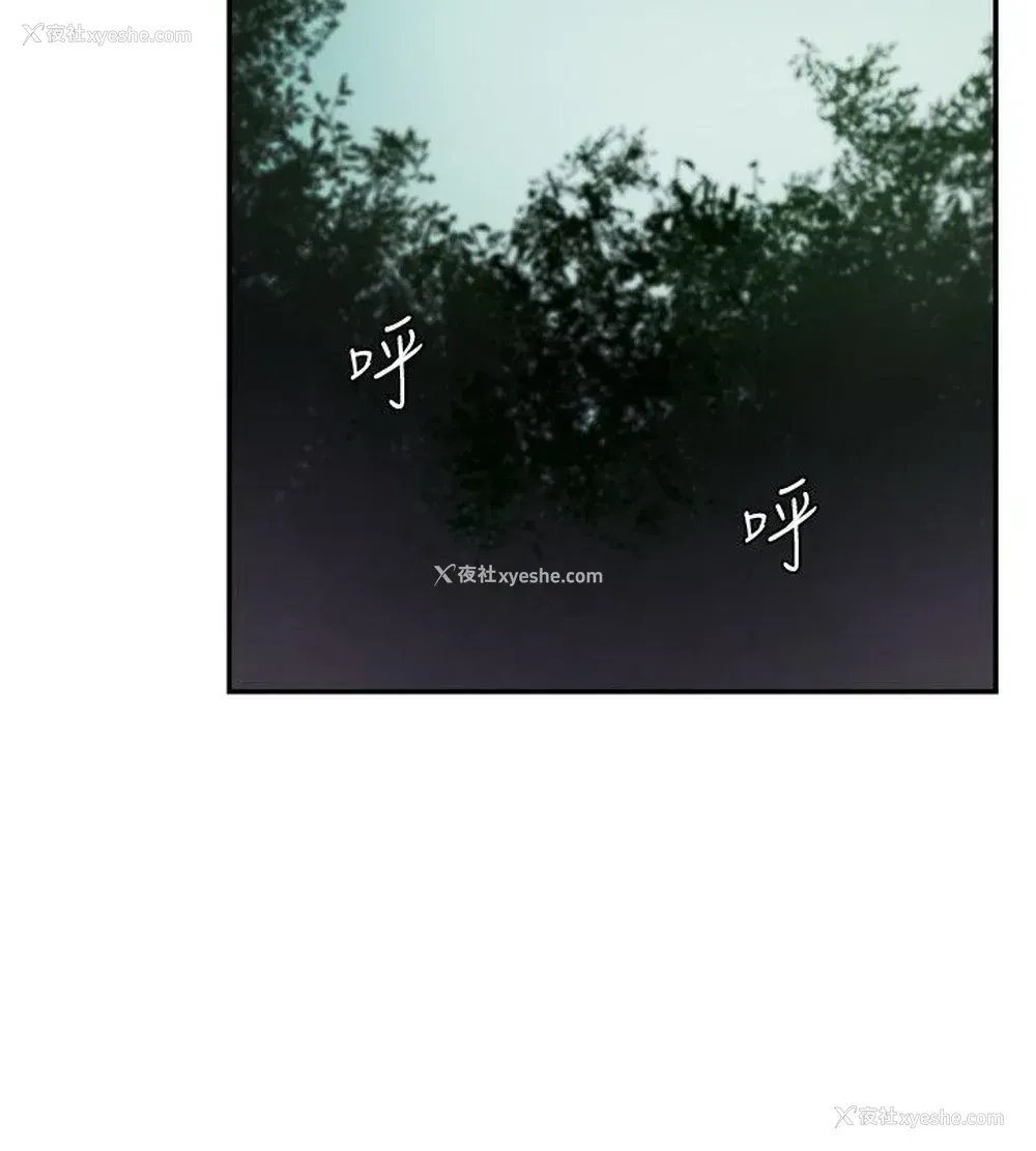 28P - 母猪养成计画