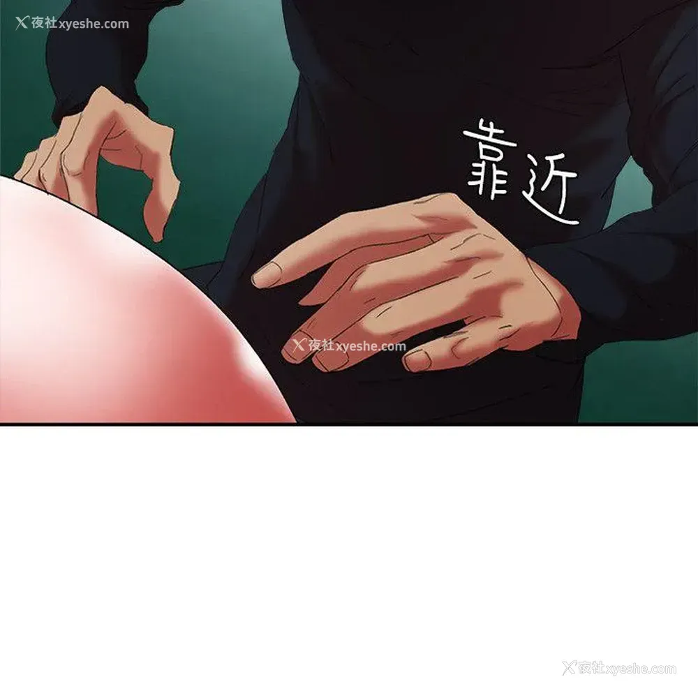 11P - 母猪养成计画