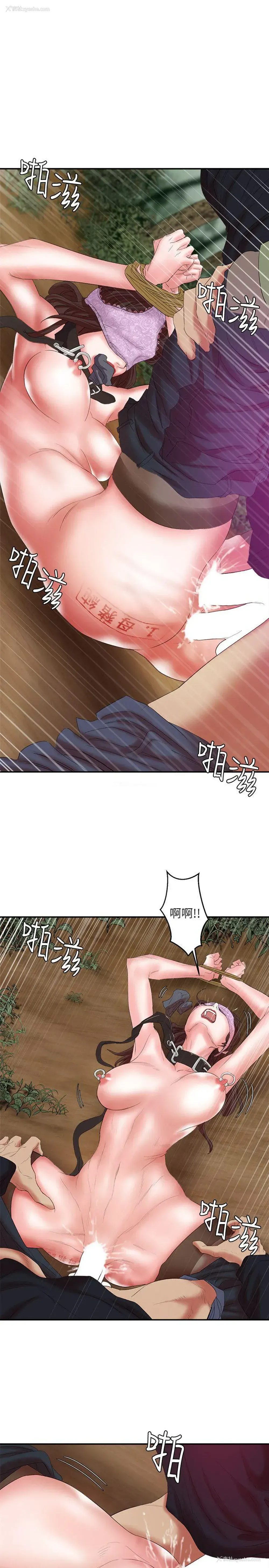 28P - 母猪养成计画