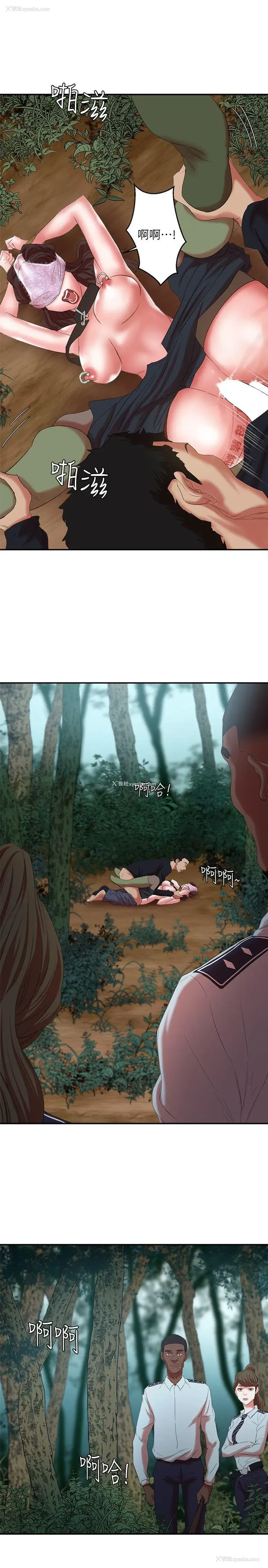 31P - 母猪养成计画