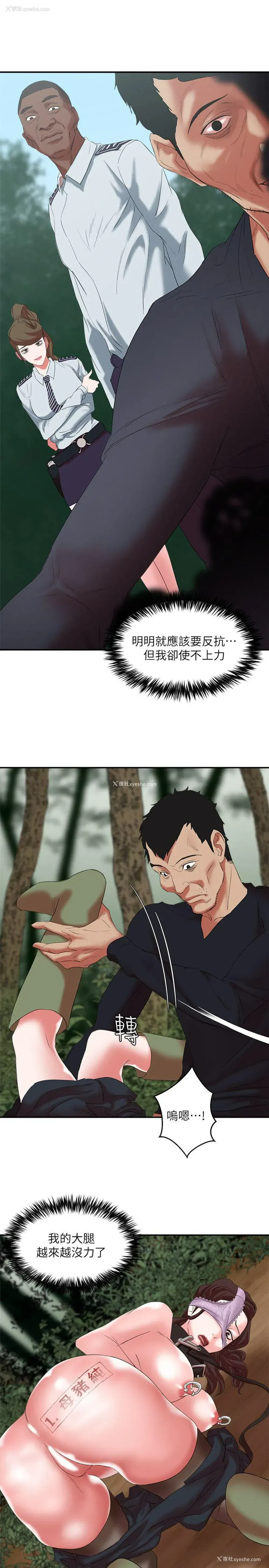 10P - 母猪养成计画