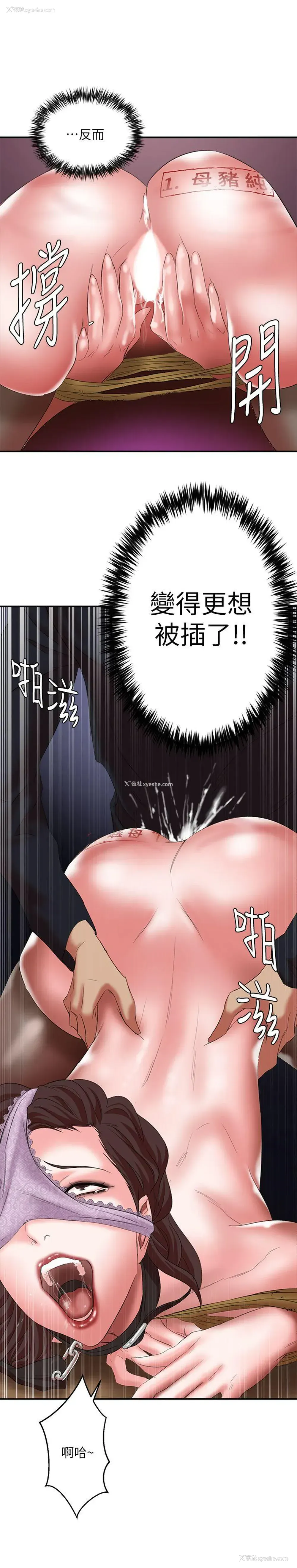 12P - 母猪养成计画