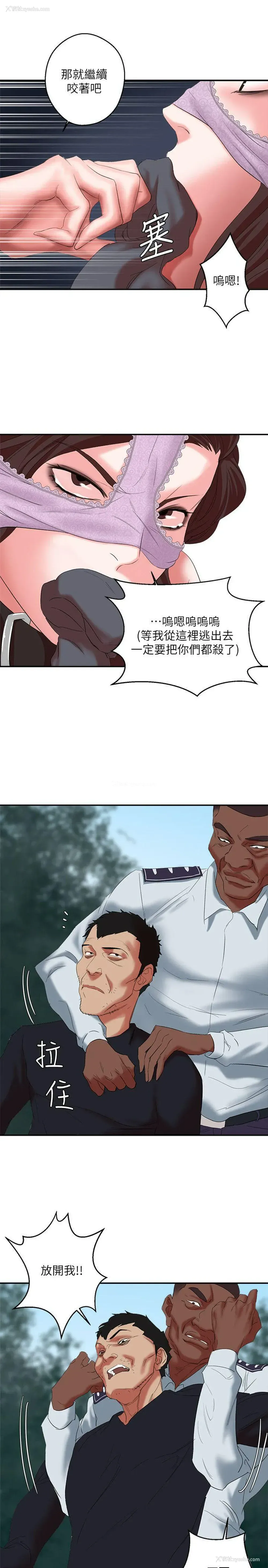 18P - 母猪养成计画