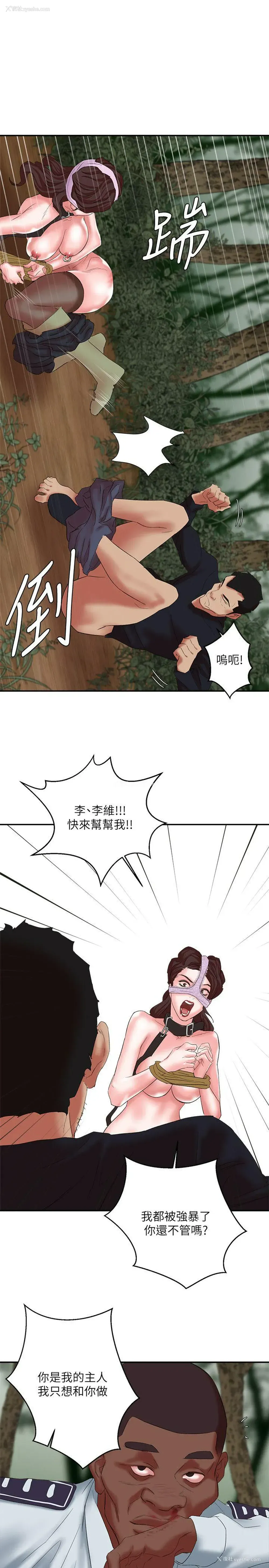 28P - 母猪养成计画