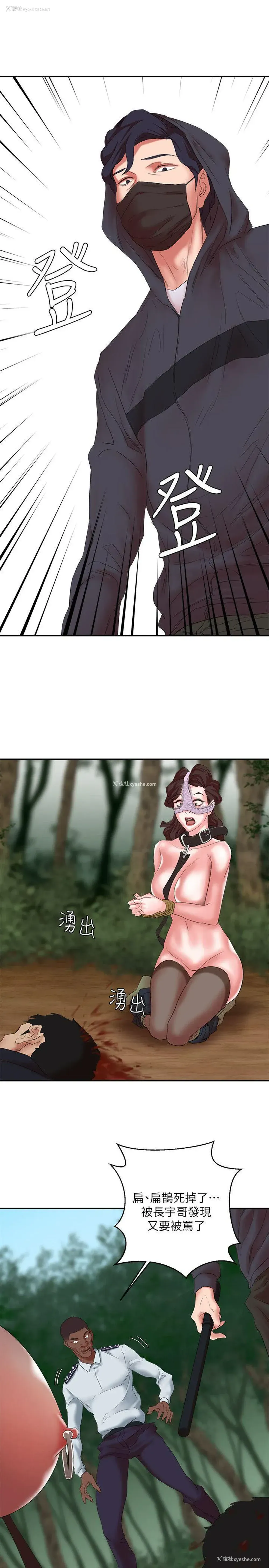 33P - 母猪养成计画