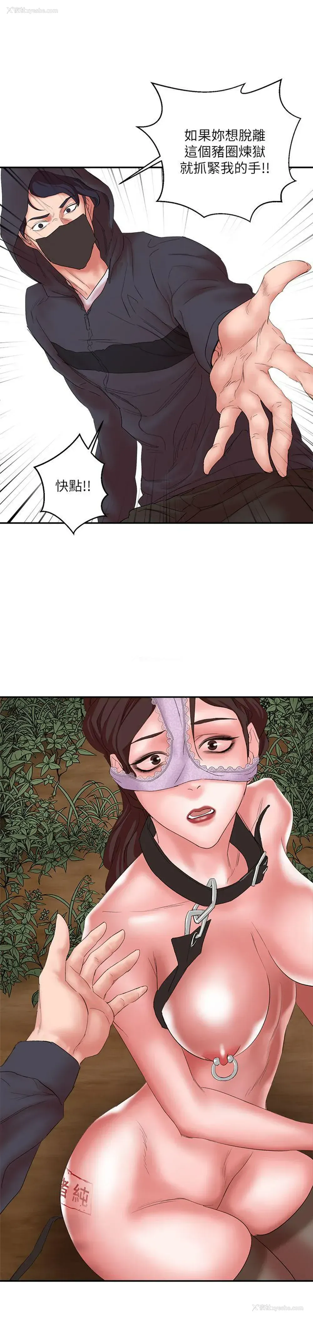 2P - 母猪养成计画