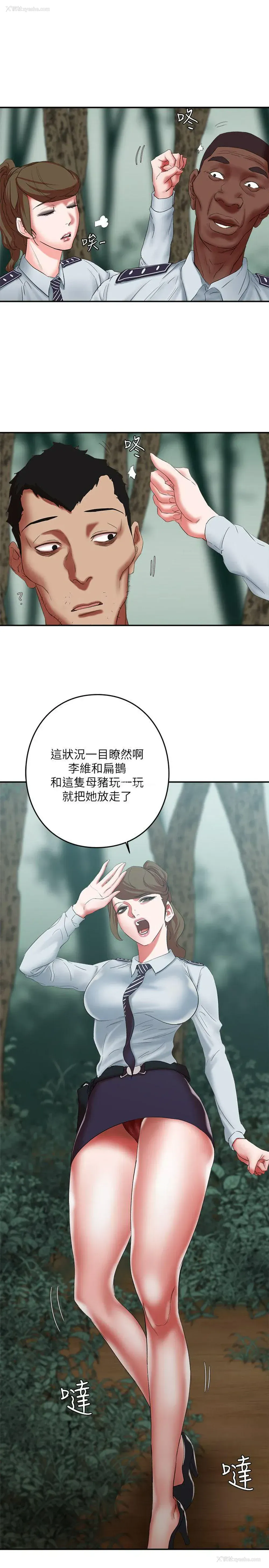 13P - 母猪养成计画