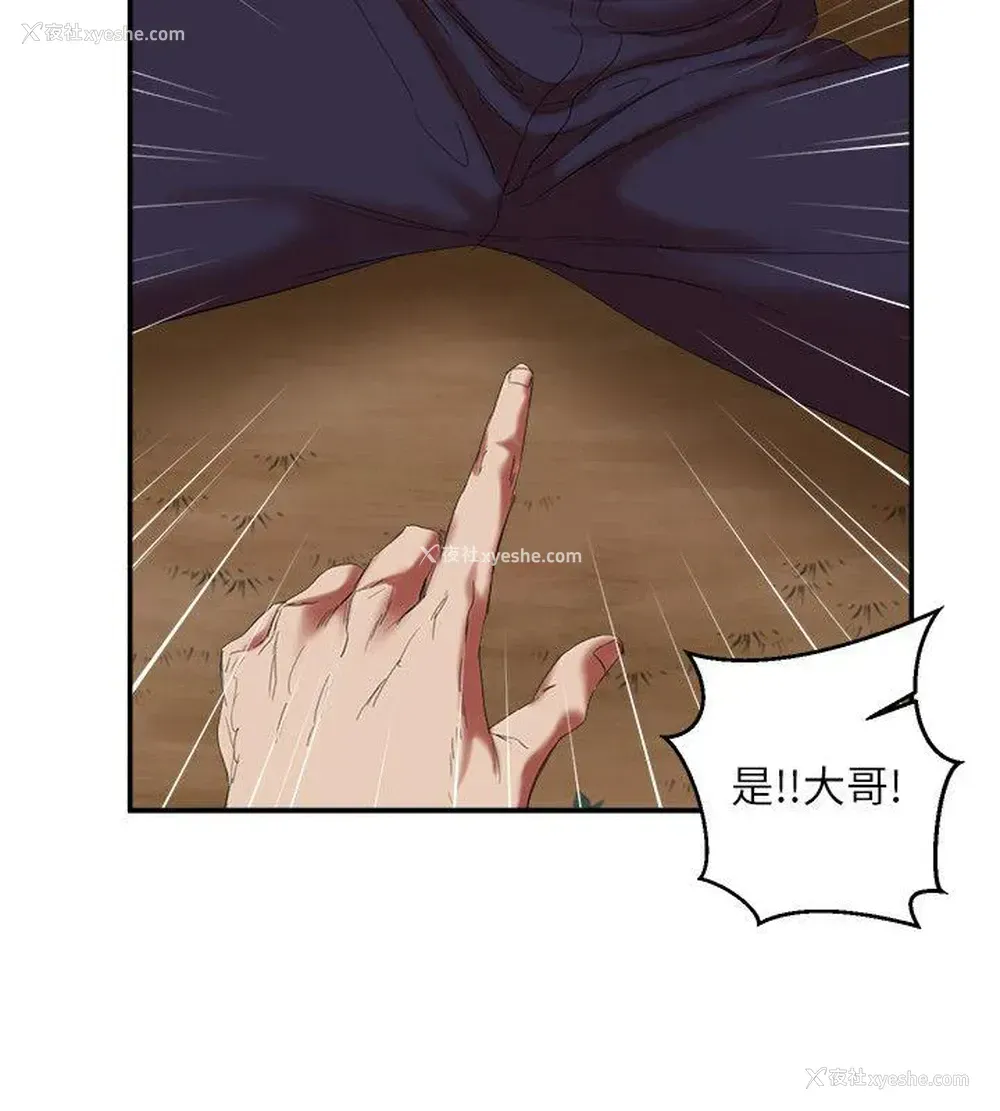 29P - 母猪养成计画