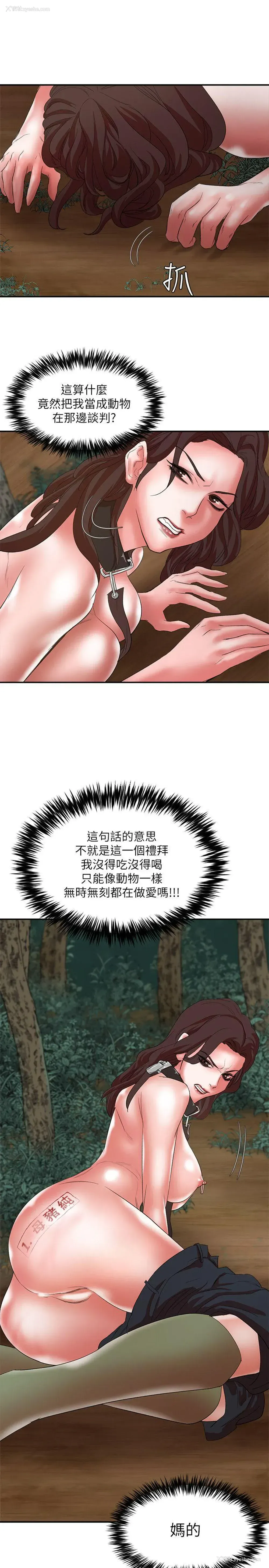 3P - 母猪养成计画