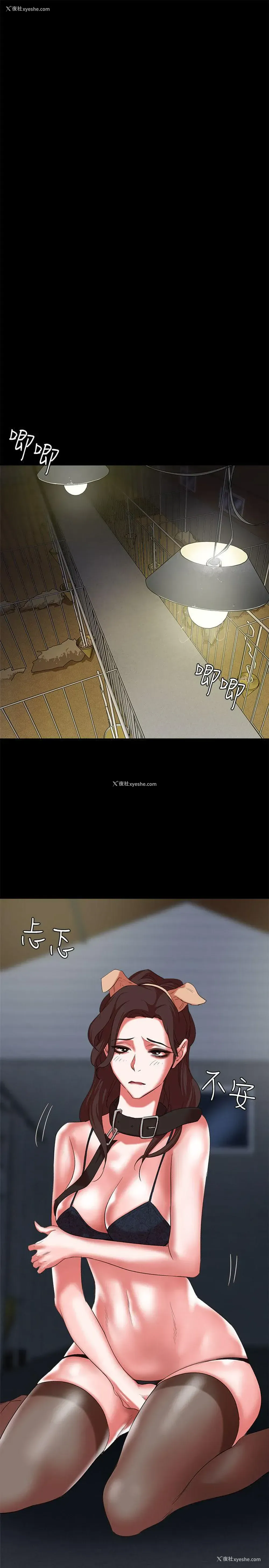 9P - 母猪养成计画