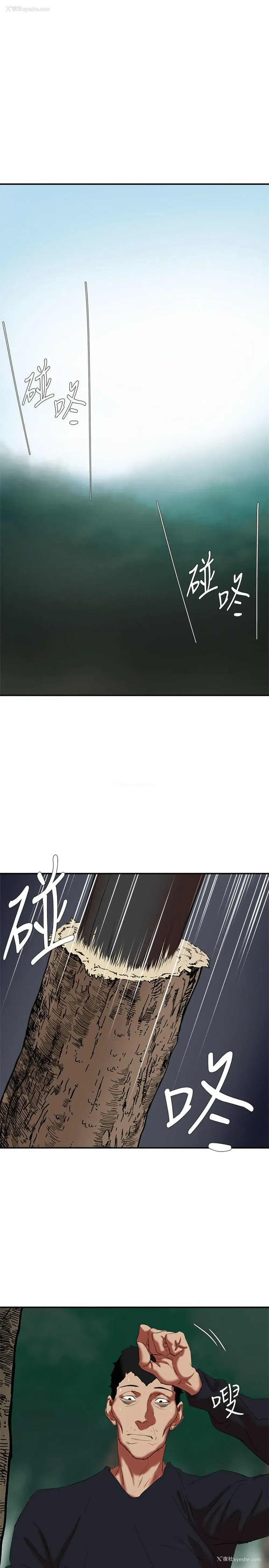 14P - 母猪养成计画