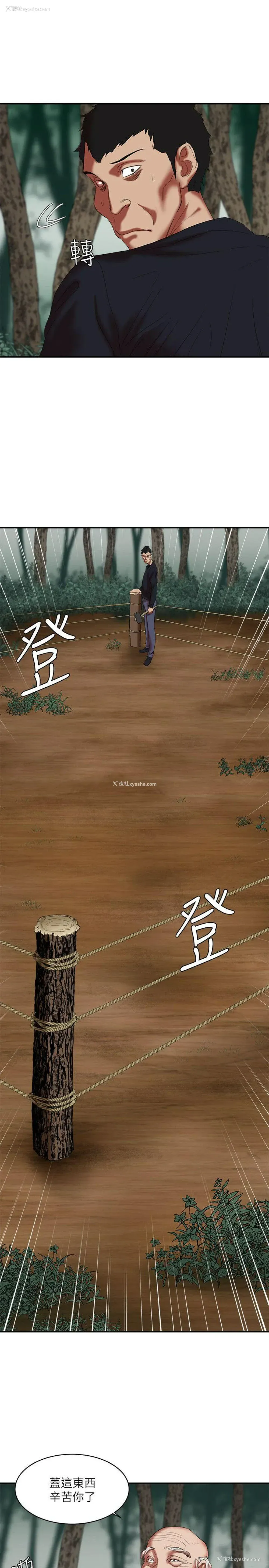 16P - 母猪养成计画