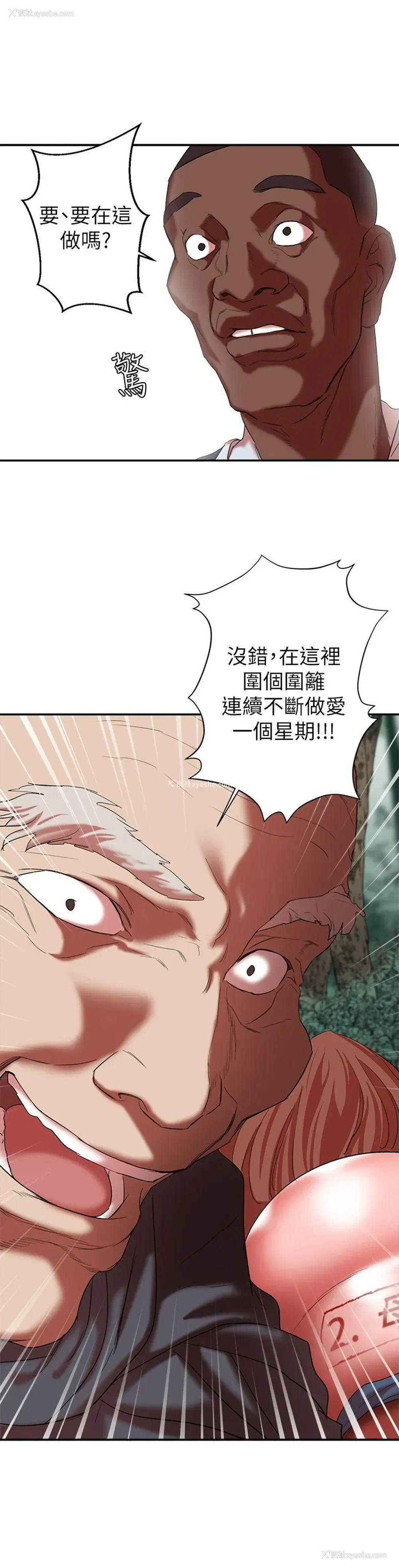 3P - 母猪养成计画