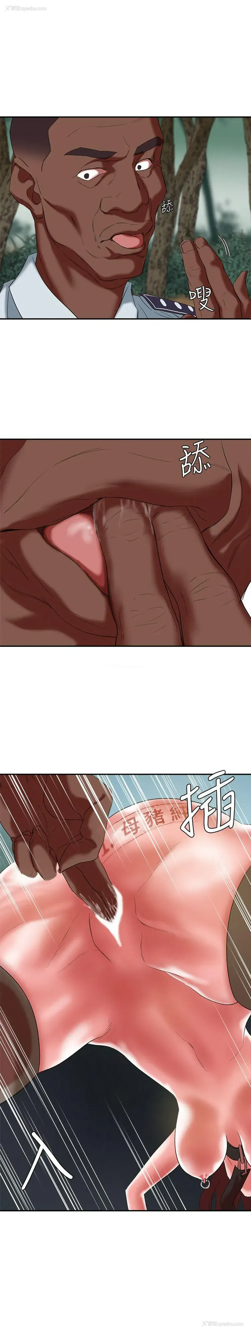 36P - 母猪养成计画