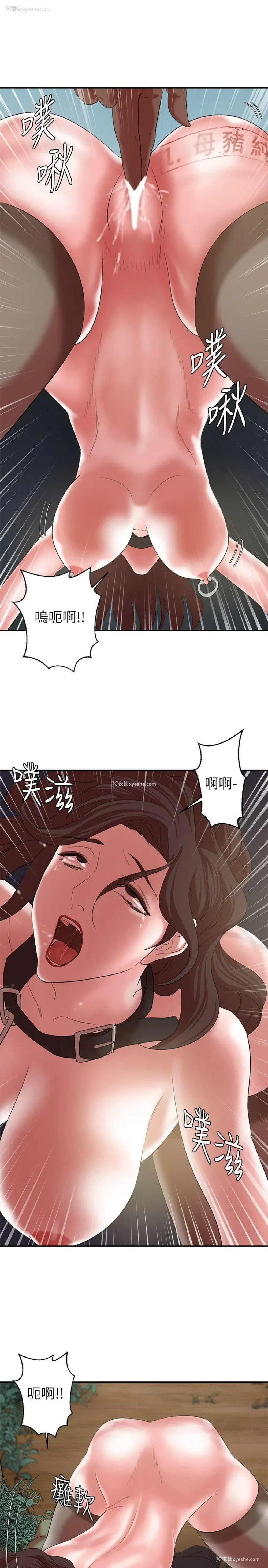 37P - 母猪养成计画